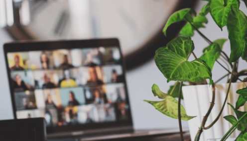Zoom team meeting and plant
