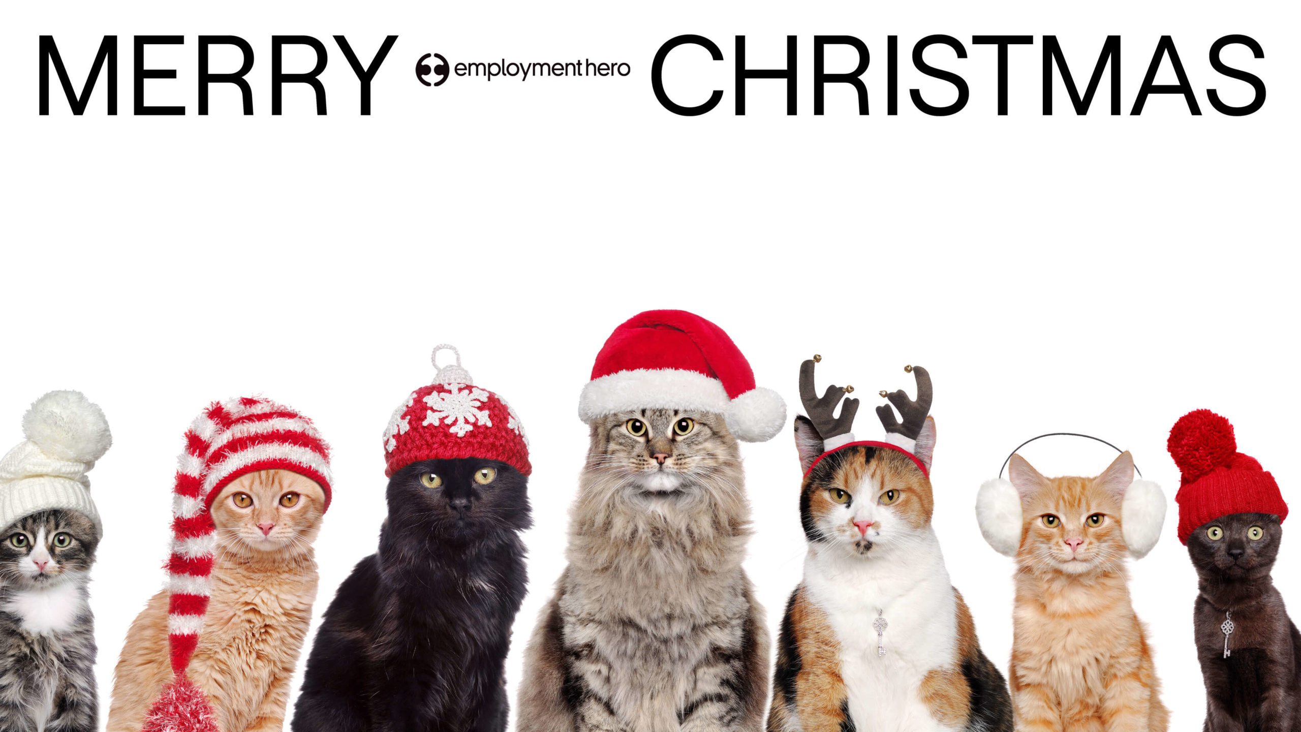 https://env-employmentherocom-premstaging.kinsta.cloud/sg/wp-content/uploads/2021/12/Holiday-Zoom-Backgrounds-Blog6.jpg