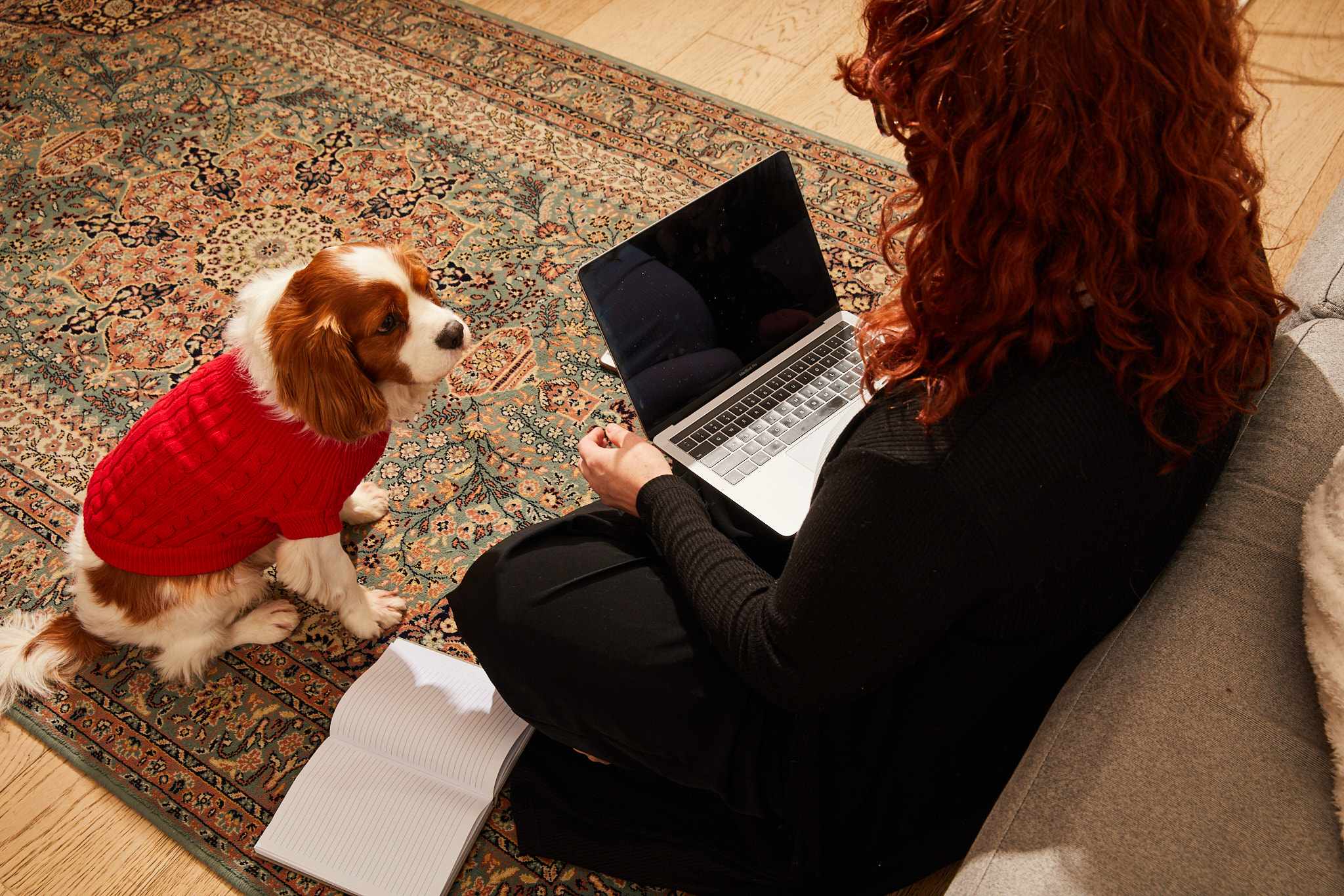 Unpack how you can assess your current benefits package