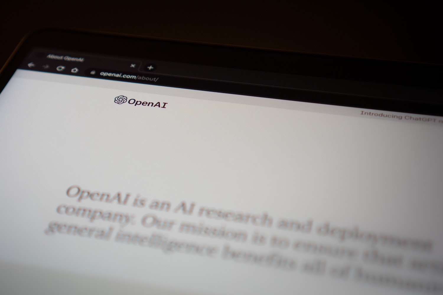 Open AI screenshot