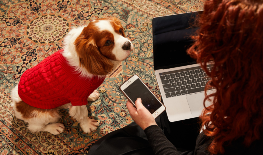 Top tech tools for small businesses in 2022