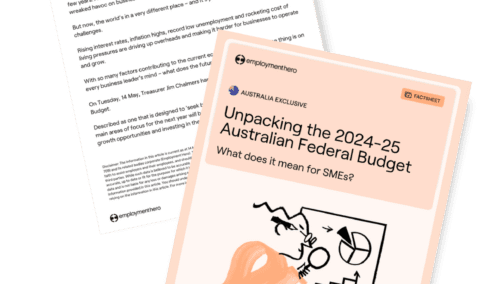 unpacking the federal budget 2024-25